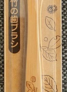 Brosse à dents Mon voisin Totoro